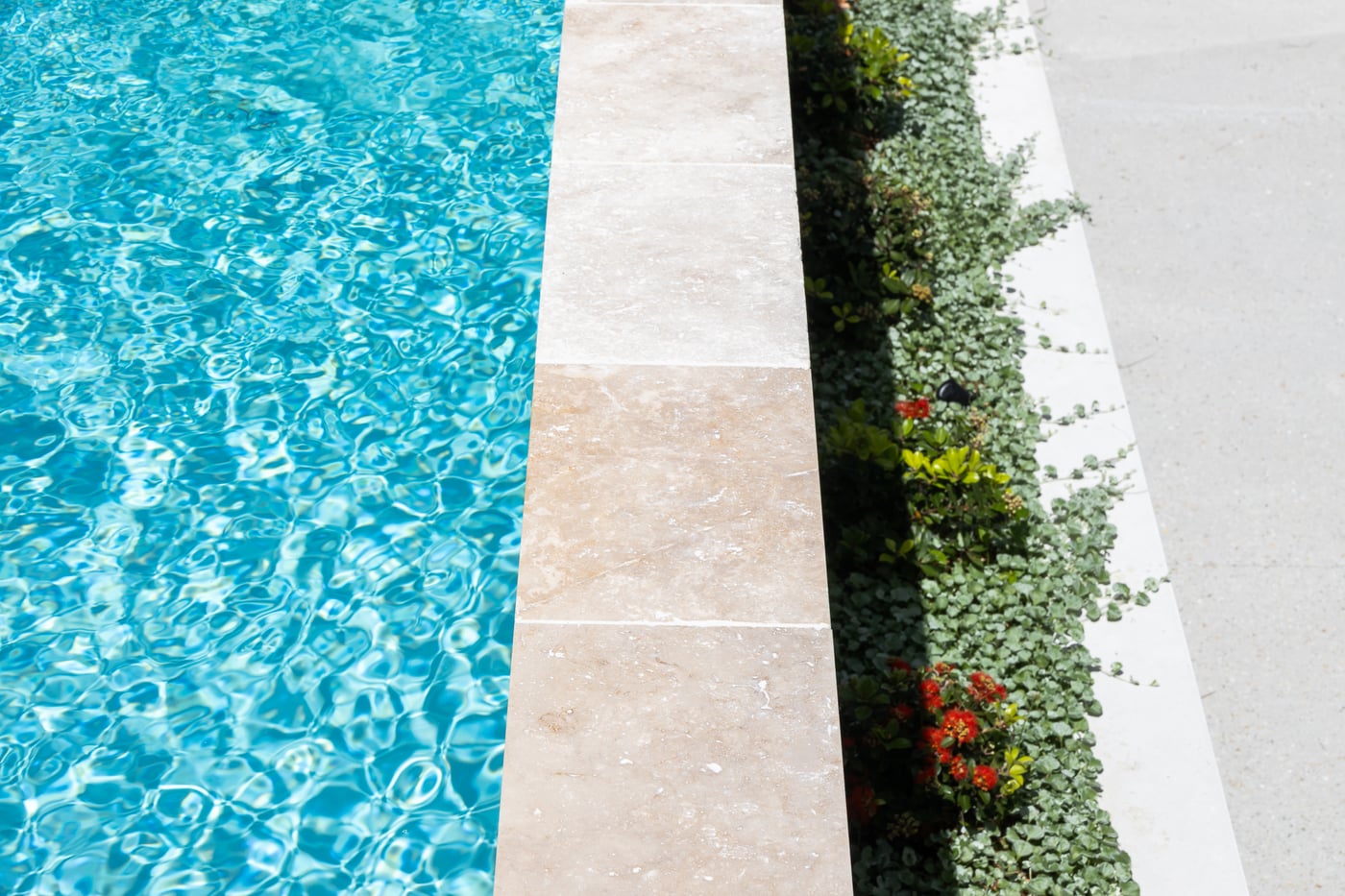 Close view of travertine pool coping beside clear water, with a narrow band of groundcover planting separating it from the paving behind